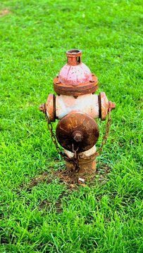 Gate valve is a multi-turn isolation valve that starts or stops fluid flow by lifting a sliding barrier