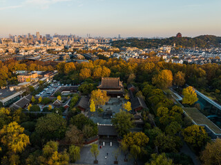 Obraz premium Aerial View of Qian Wang Shrine and Hangzhou Skyline in Autumn