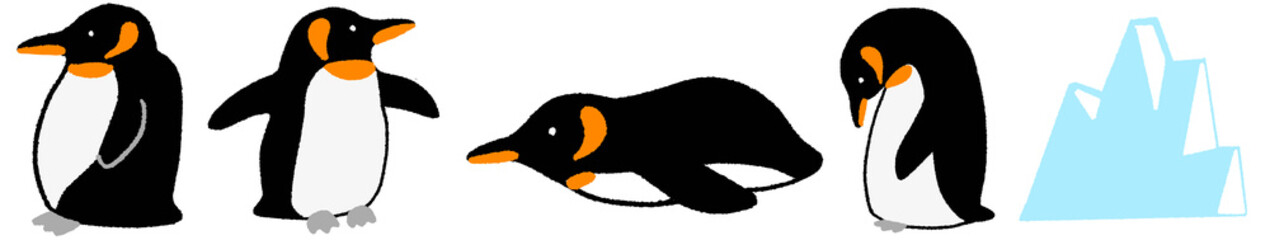  penguin illustration © Hh cc