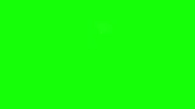 Abstract wave movement flows across a solid green background, creating a smooth and fluid visual element that is perfect for professional presentations, website headers, or creative digital media.