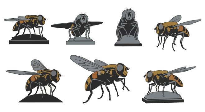 Set of Stylized Honey Bee Illustrations in Various Poses