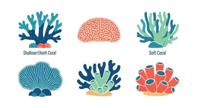 Set of Diverse Coral Types Illustration: Brain, Soft, and Hard Corals