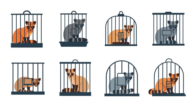 Set of Raccoons in Cages Flat Vector Illustration