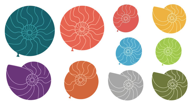 Colorful Nautilus Shells Collection, Abstract Marine Life Graphic Elements