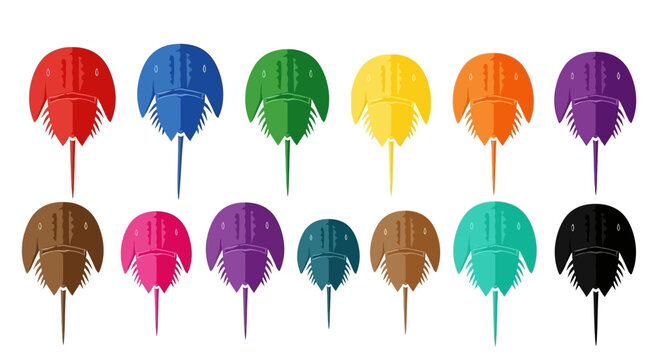 Colorful Horseshoe Crab Collection: Vibrant Aquatic Life Icons