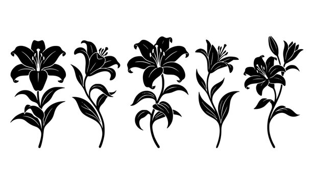 Stylized Lily Flower Silhouette Collection Decorative Floral Illustration Set