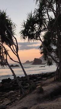 Vertical shot of Beautiful tropical Papuma beach Jember at sunset, with waves crashing on a rocky shore framed by silhouette palm trees and dramatic sea stacks. Perfect for travel concepts.