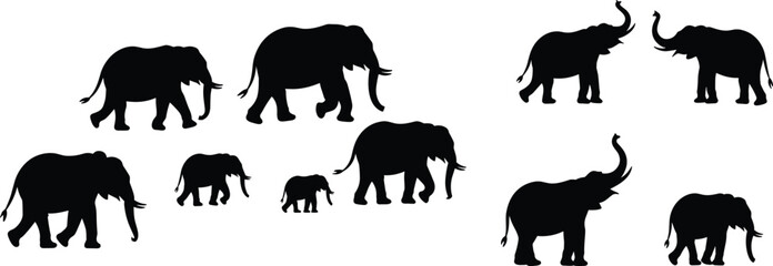 Obraz premium Collection of Elephant Silhouette Vector Illustrations Featuring Walking Standing and Trumpeting Wild Animals Isolated on Background