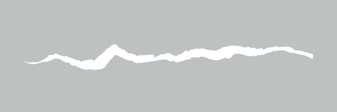 White torn paper edge design vector