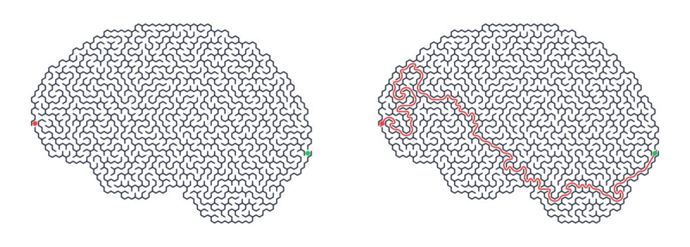 Maze puzzle in shape of human brain with red solution line. Vector labyrinth game for print. Entertainment and leisure activities, finding way challenge