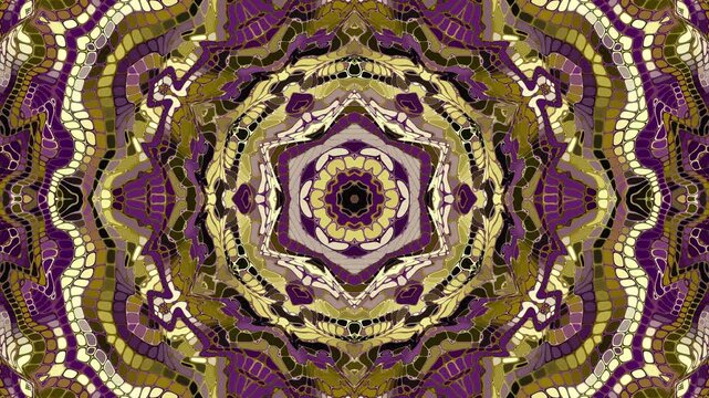 Ornate mandala design, spiritual symmetry, intricate patterns loop background
