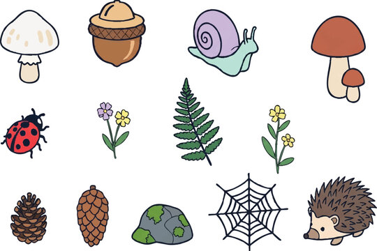 Forest Mushroom and Wild Botanicals Flat Vector Icon Set