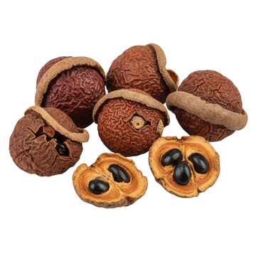 Group of dried, brown soapberry fruits with textured shells and exposed black seeds isolated against a solid black background
