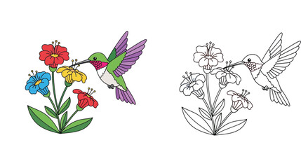  Hummingbird and flowers coloring page for kids with colored example, cute cartoon hummingbird drinking nectar from colorful garden flowers, educational activity vector illustration set. © MstTabassum
