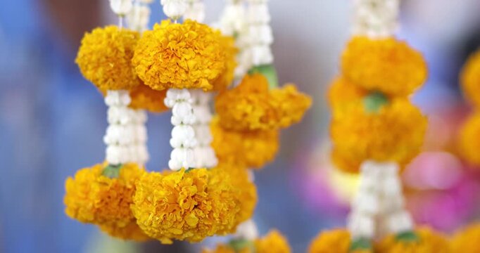 Traditional Thai flower garlands with orange marigolds and jasmine hanging decoration, symbolizing culture, respect, celebration, and elegant Thai ceremony atmosphere