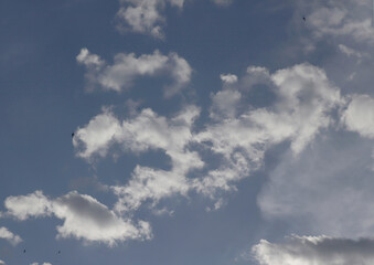 Fototapeta premium sky and clouds