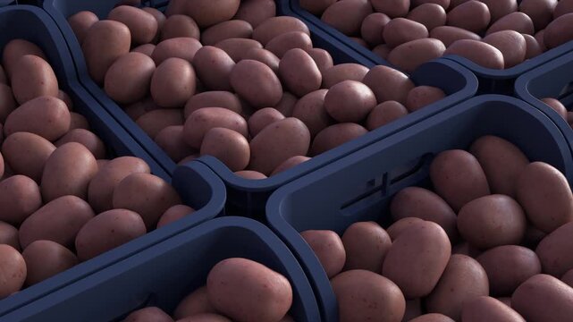 Stacked boxes of potatoes ready for sale.