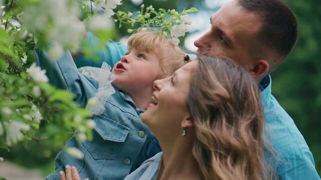 Family smiles amid blooming spring trees. Child reaches for blossoms with joyful curiosity. Parents share tender, contented moments. Perfect for family, spring, or nature scenes