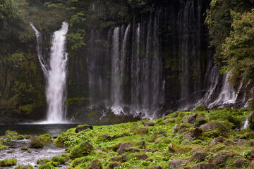 Obraz premium Scenic Shiraito Falls Surrounded by Lush Greenery in Japan