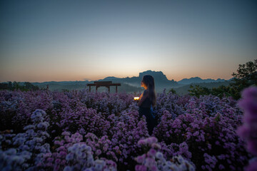 Fototapeta premium A woman in a black dress stands in the middle of a field of purple flowers in the morning. Behind her are mist-covered mountains.