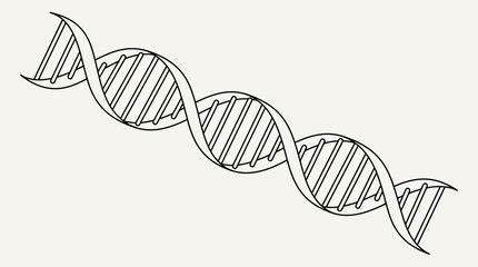 A simple black and white line drawing of a DNA double helix molecule. © Jalaludin_Razi