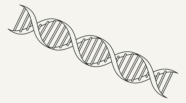A simple black and white line drawing of a DNA double helix molecule.
