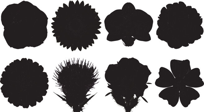 Beautiful spring and summer flower heads solid black silhouette vector stencil collection.