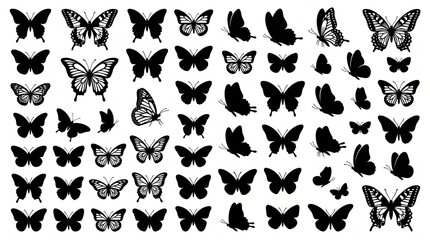 Obraz premium A collection of black butterfly silhouettes on a white background