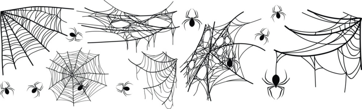 Spooky spider web collection with creepy Halloween cobweb elements, dark insect illustrations and tangled gothic corner decoration set