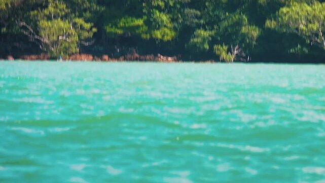 Coastal forests on the coast of the Andaman Sea. Thailand