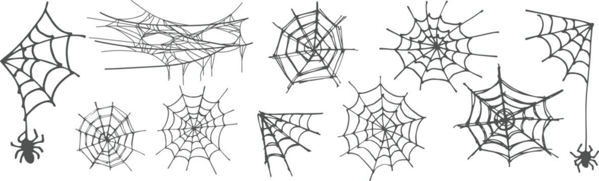 Spooky spider web collection with creepy Halloween cobweb elements, dark insect illustrations and tangled gothic corner decoration set