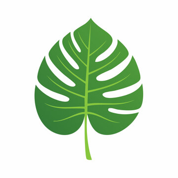 Green Monstera Leaf Illustration