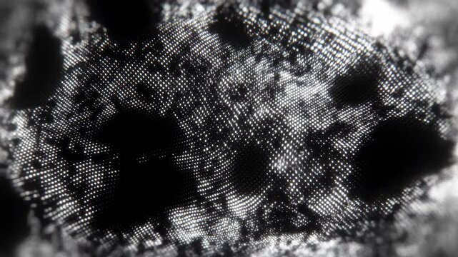 Contrast Blackwhite. Monochrome Surface With Natural Voids And Minuscule Dot Patterns For Art Science