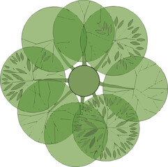 green leaves on a white background