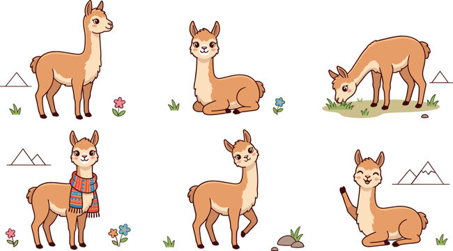 Set of cute cartoon alpaca and llama characters in various poses standing sitting eating and wearing a scarf isolated on white background vector