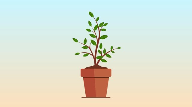 Minimalist animation of a small terracotta pot with soil and a tiny sprout centered animation