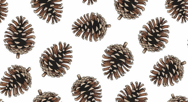 seamless pattern of detailed pine cones nature background autumn forest illustration