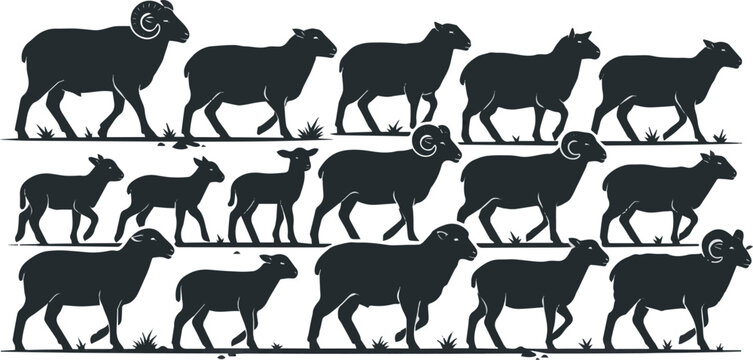 Generate a realistic kinds of deferent Sheep vector art silhouette with white background.