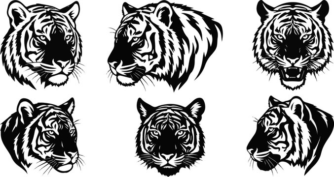 Generate a realistic kinds of deferent tiger head vector art silhouette with white background.