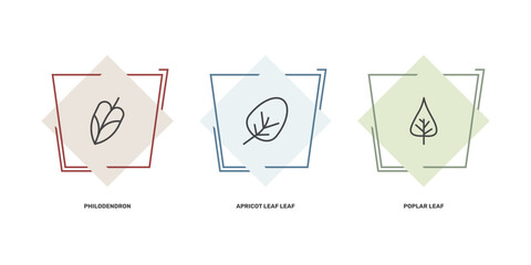 nature icon set with philodendron, apricot leaf leaf, poplar leaf signs in flat outline style © Abstract