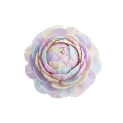 Obraz premium Pastel Multicolor Flower Petal Arrangement