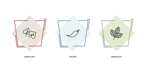 nature icon set with cercis leaf, falcate, rowan leaf signs in flat outline style © Abstract