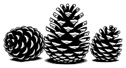 Pine cones from coniferous trees for winter and forest themes in woodcut style © Cristiano