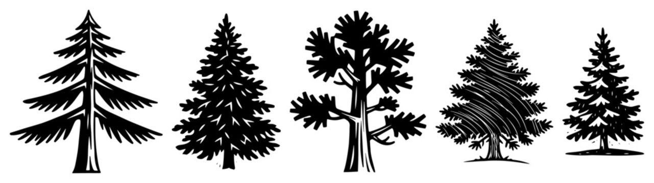 Pine tree collection in various woodcut and engraved silhouettes styles
