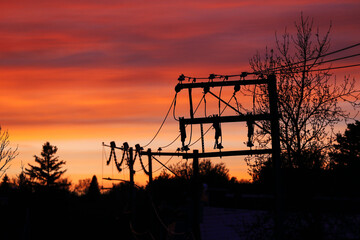 Pylônes et fils électriques dans la lumière du soir au coucher du soleil en ville.   © Pascal Huot