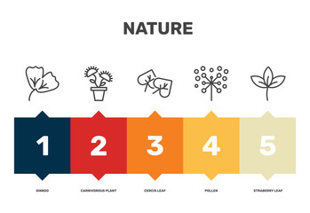 nature icon set with ginkgo, cercis leaf, pollen, straberry leaf signs in flat outline style © Abstract