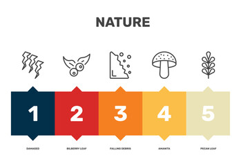nature icon set with damaged, falling debris, amanita, pecan leaf signs in flat outline style © Abstract