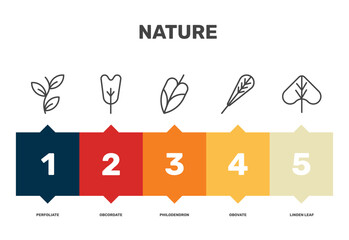 nature icon set with perfoliate, philodendron, obovate, linden leaf signs in flat outline style © Abstract