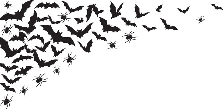 Black silhouette bats and spiders on for halloween