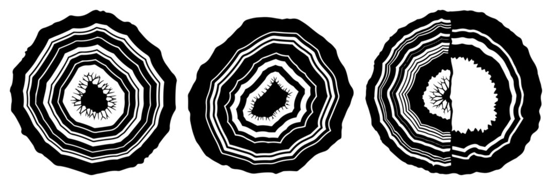 Agate mineral slices and geode stone cross sections in vintage engraving style
